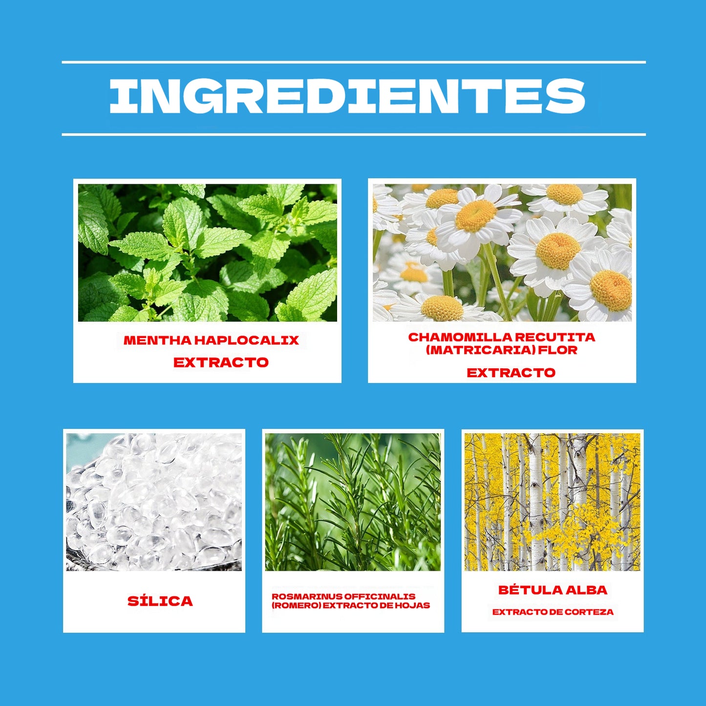 OIX Polvo blanqueador  （Compre uno y llévese otro gratis）