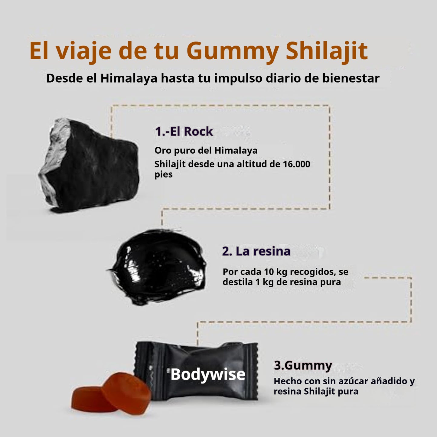 Gomitas de Shilajit Puro del Himalaya Be Bodywise Gold