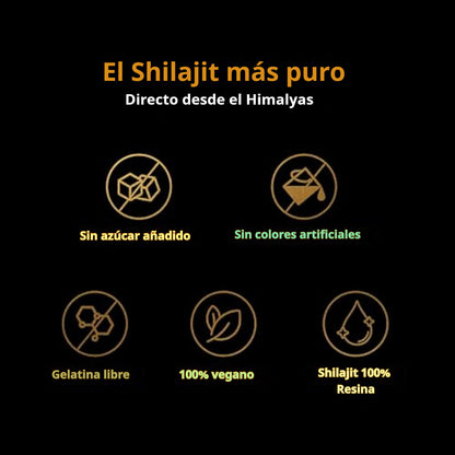 Gomitas de Shilajit Puro del Himalaya Be Bodywise Gold